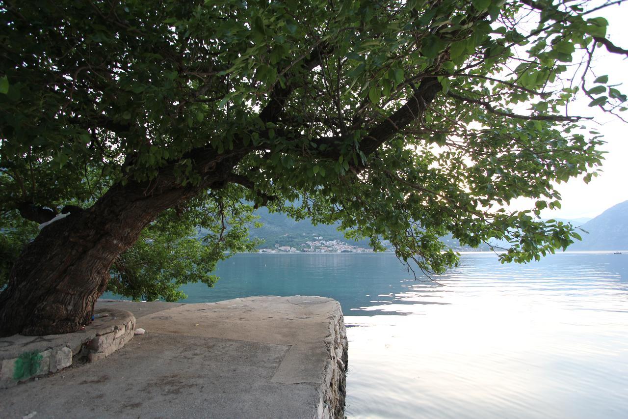 Adriatic Pearl Apartments Kotor Ngoại thất bức ảnh